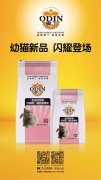 奧丁精品幼貓糧閃耀登場(chǎng)?。?！